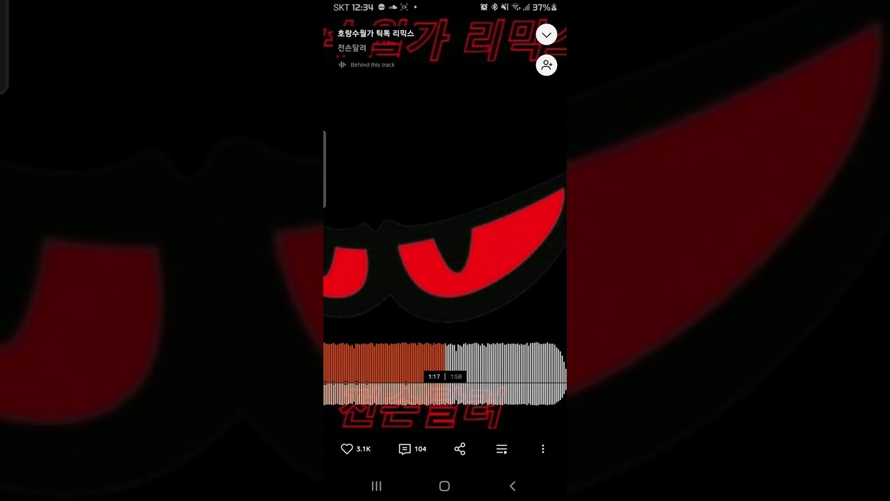 호랑수월가 리믹스