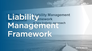 Liability Management Framework – A new holistic approach