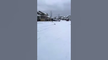 Traxxas rustler in snow #shorts