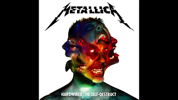 Metallica - ManUNkind