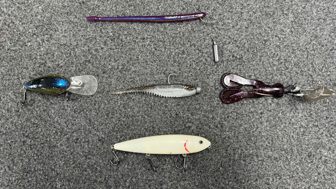 Top 5 Baits For September Bass Fishing!