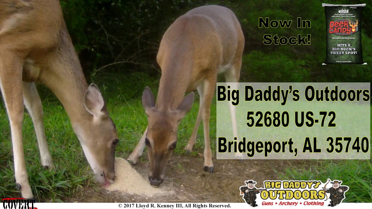 Big Daddy Outdoors