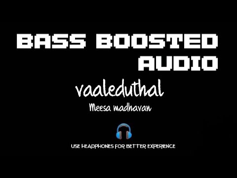 Vaaleduthal  BASS BOOSTED  HD AUDIO  Meesa Madhavan 