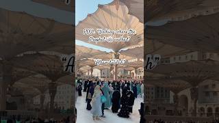 #peace #MasjidAnNabawi #Madinah #allah #islam #IslamicShorts #hajj #hajjmubarak #rahmatunlilalameen