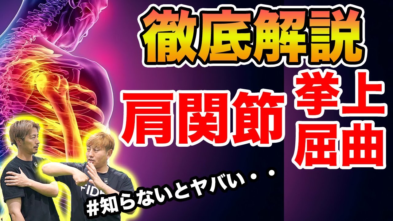【完全解説】日本一わかりやすい！？肩関節屈曲制限を理論〜手技〜運動までを理学療法士が解説します！