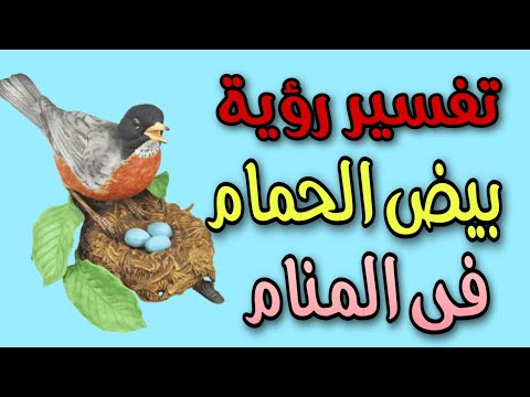 تفسير رؤية بيض الحمام فى المنام لابن سيرين