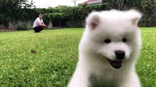 Nimbus is coming!
