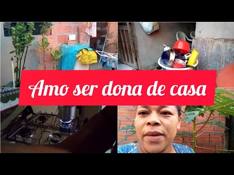 REALIDADE POR AQUI//recolhi as roupas do varal/molhei plantas/ laudicea santos