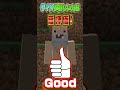 どっちを助ける?おじいちゃんかダイヤ👴🏻💎【マイクラ / マインクラフト】#shorts