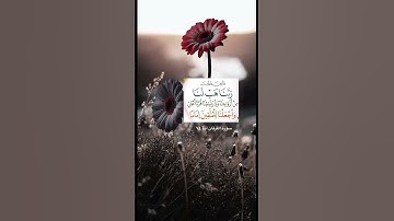 #سورة_الفرقان #القرآن_الكريم #المصحف #راحة_نفسية #اكسبلور #لايك #ترند