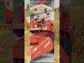 Dasmesh Maize Cutter — designed to deliver fast, clean and precise harvesting.