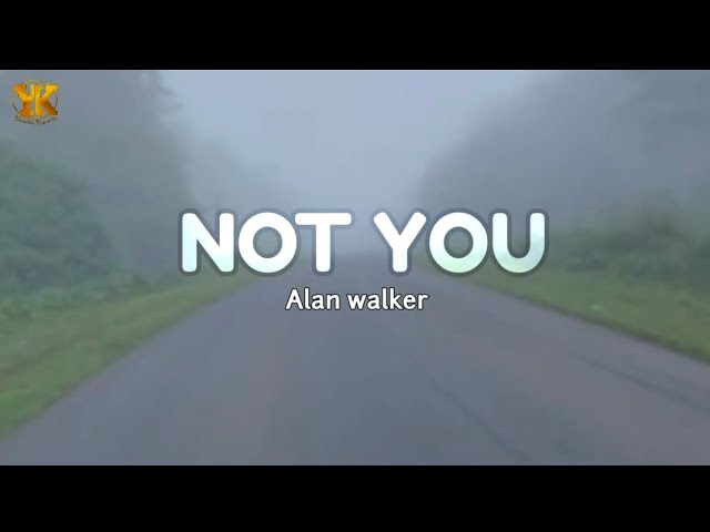 NOT YOU (lyrics) - Alan Walker ft. Emma Steinbakken class=