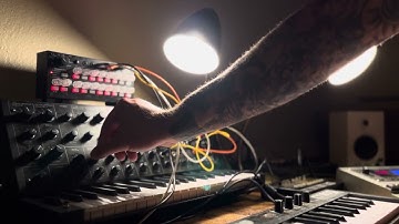 Generative Ambience - Korg MS-20 + SQ-1