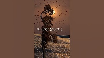 قرآن كريم بصوت جميل #قران_كريم #اكسبلور #quran #راحة_نفسية #لايك