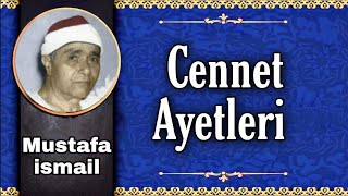 Mustafa ismail ▪️Nebe Suresi▪️Allah'a Yönelten Ayetler