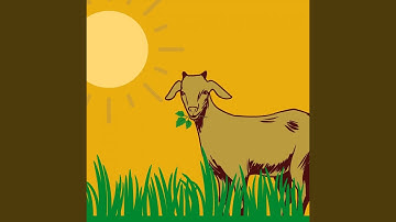 Bubbly Moods for Lazy Together