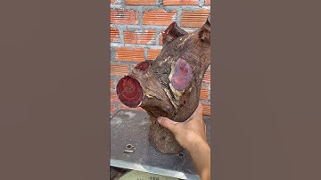 GL cục trắc dây cực đẹp 8kg đục đẽo các kiểu ạ giá 500k bao ship ạ