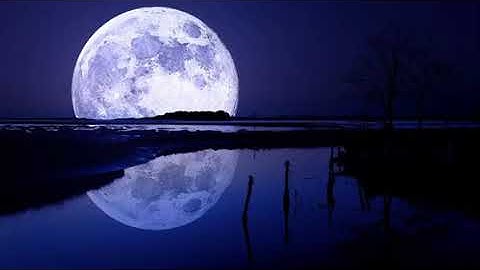 التلاوة التي يحتاجها كل من ضاق صدره وكثر همه بكاء القارئ !!!  HD