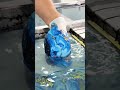 Satisfying Hydro Dipping: Amazing Blue and Gold Marble Transformation Art!