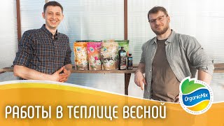 Теплица весной / Подготовка теплицы весной / Типичные ошибки в теплице