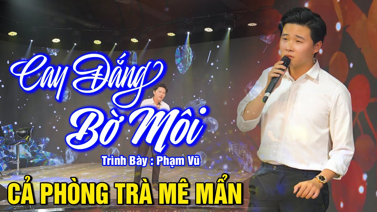 Cay Đắng Bờ Môi - Phàm Vũ ( Phòng Trà H Music ) Giọng Ca Trẻ Hát Bolero Cả Phòng Trà Mê Mẩn