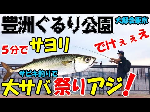 豊洲ぐるり公園サビキ釣りで大サバと金アジが大型連発 サヨリ仕掛けでサヨリ釣りにコノシロ祭り Youtube