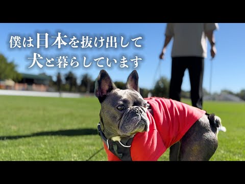 【海外移住】日本を離れ12年愛する犬とひっそり暮らす男【登録者1万人感謝記念】