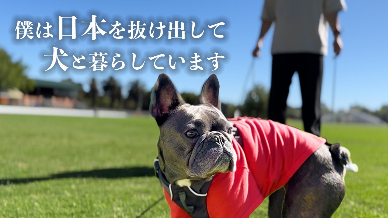 【海外移住】日本を離れ12年愛する犬とひっそり暮らす男【登録者1万人感謝記念】