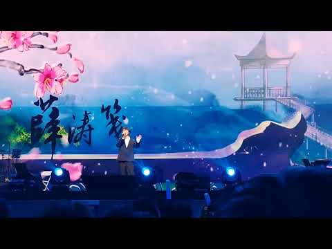 橙翼 春庭雪 20240810佳期如梦