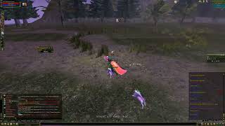 Knight Online Zero Gm Gördüm Galiba ?