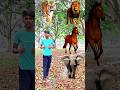 Rounding coconuts to Duck, Peacock, Pigeon &amp; Parrot - Birds names magic video#foryou#plzsupport