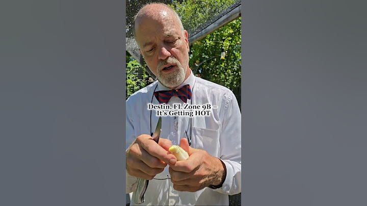 Watch Me Turn Kitchen Waste into Garden Gold!