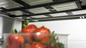 Cold Plasma | Campden BRI