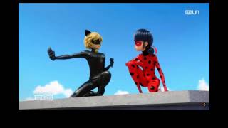 Cat noir saying “LuCkY cHaRm” in different languages
