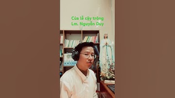 Của lễ cậy trông - st. Lm. Nguyễn Duy - Tb. Lm. Anton Minh Tâm