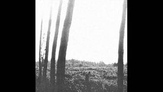 Ben Howard - Three Tree Town (Old Pine EP)