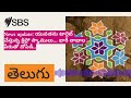 News update: యువతను టార్గెట్ చేస్తున్న క్రిప్టో స్కాములు... భారీ లాభాల పేరుతో దోపిడీ.. | SBS...