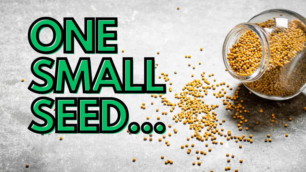 a-growing-seed-mark-4-26-34-youtube