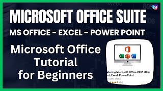 Microsoft Office Suite for Beginners -Office 365 - Microsoft Office -Excel - Power Point - MS Office