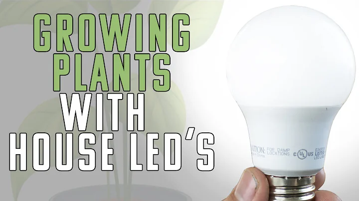 Can You Use Household LED Bulbs As Grow Lights? - DayDayNews