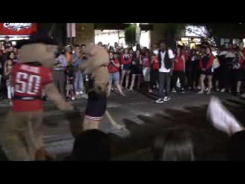 Wilbur T Wildcat Dancin' University of Arizona Mascot Dancin at Pep Rally 10-23-09