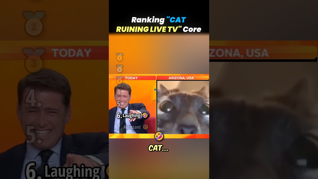 Ranking TOP CATS RUINING LIVE TV Core Moments!! 🐱📺