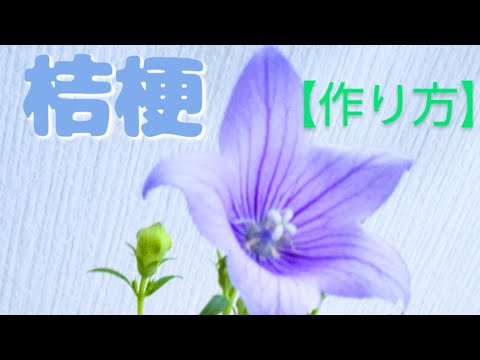 桔梗　自作 hqdefault.jpg