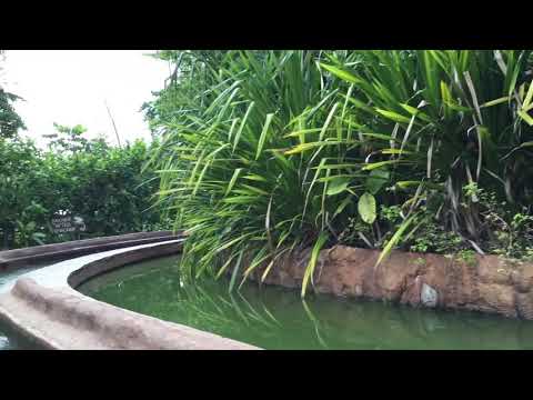［シンガポール］動物園をボートで体験！ Singapore