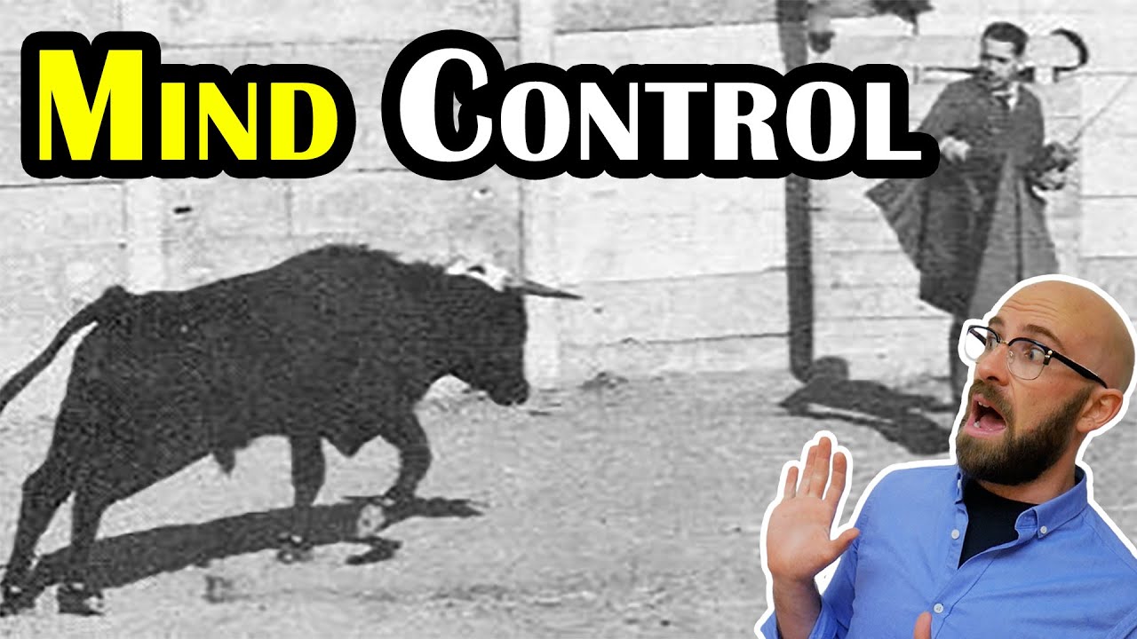 That Time A Scientist Stopped A Charging Bullfighting Bull Using Mind Control For Science!!!!