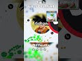 Piccolo and Gohan team in agario mobile #agario