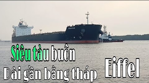 Cận cảnh siêu tàu hàng cực khủng dài gần bằng tháp Eiffel cập cảng Vũng Tàu - Việt Nam