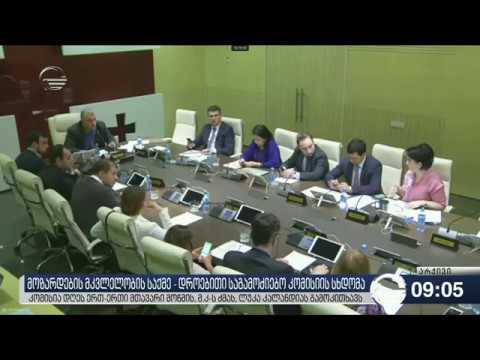 მოზარდების მკვლელობის საქმე   დროებითი საგამოძიებო კომისიის სხდომა