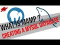 What Is MAMP And Creating A MySQL Database Junior Dev What Is MAMP And Creating A MySQL Database Junior Dev