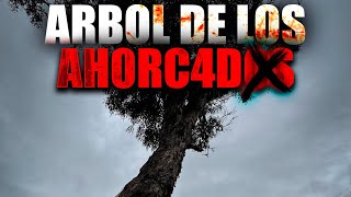 Aventura extrema en el árbol del ahorcado de Bogotá